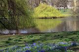 45-St.James Park,4 aprile 2010